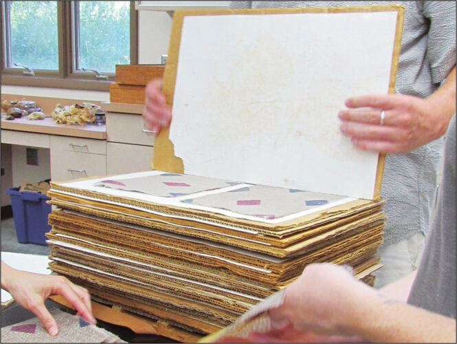 how-to-make-paper-from-plants-mother-earth-news